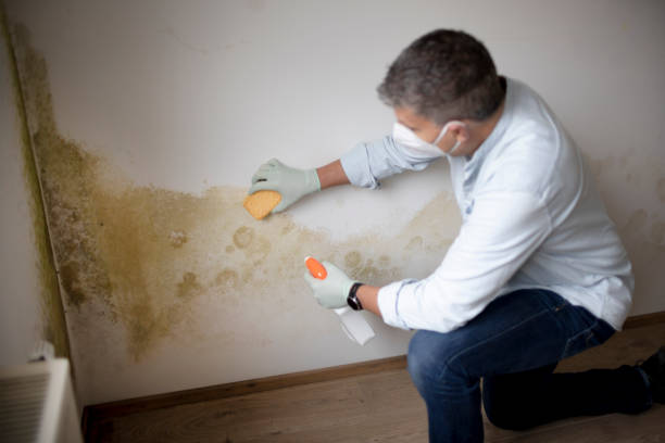 Best Indoor Air Quality Assessment  in El Rancho, NM